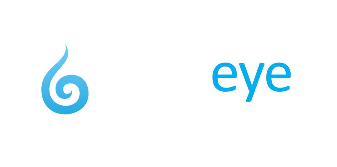 Webeye Logo